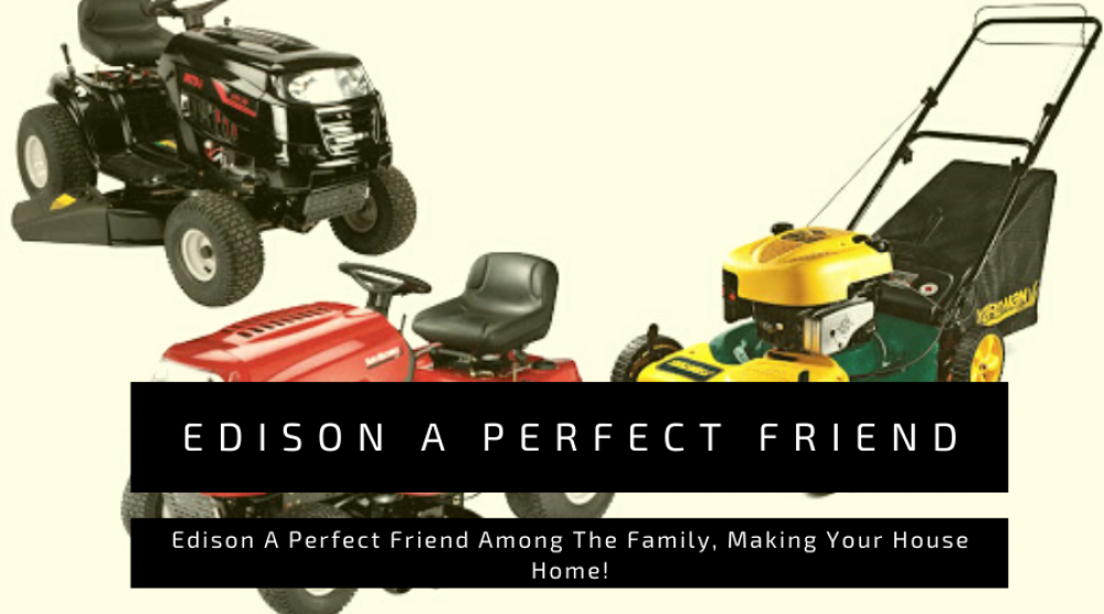 edison-a-perfect-friend-among-the-family-making-your-house-home