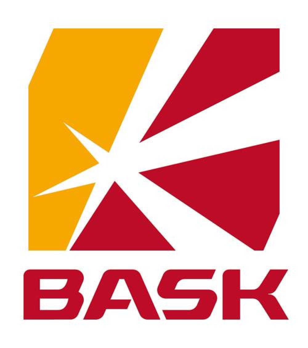 bask-coupon-codes