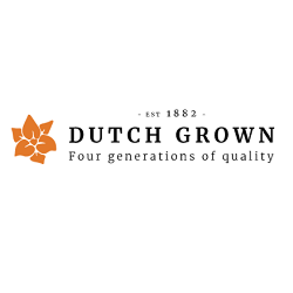 Dutch-Grown-coupon-codes
