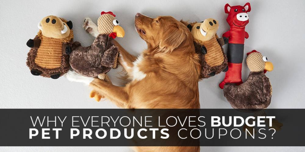 Why Everyone Loves Budget Pet Products Coupons?