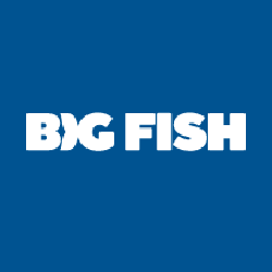 big-fish-games-coupon-codes