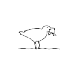 seifenbrause-de-coupon-codes