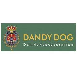 dandy-dog-coupon-codes