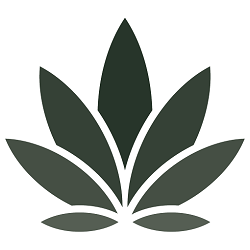 webelieve-de-coupon-codes