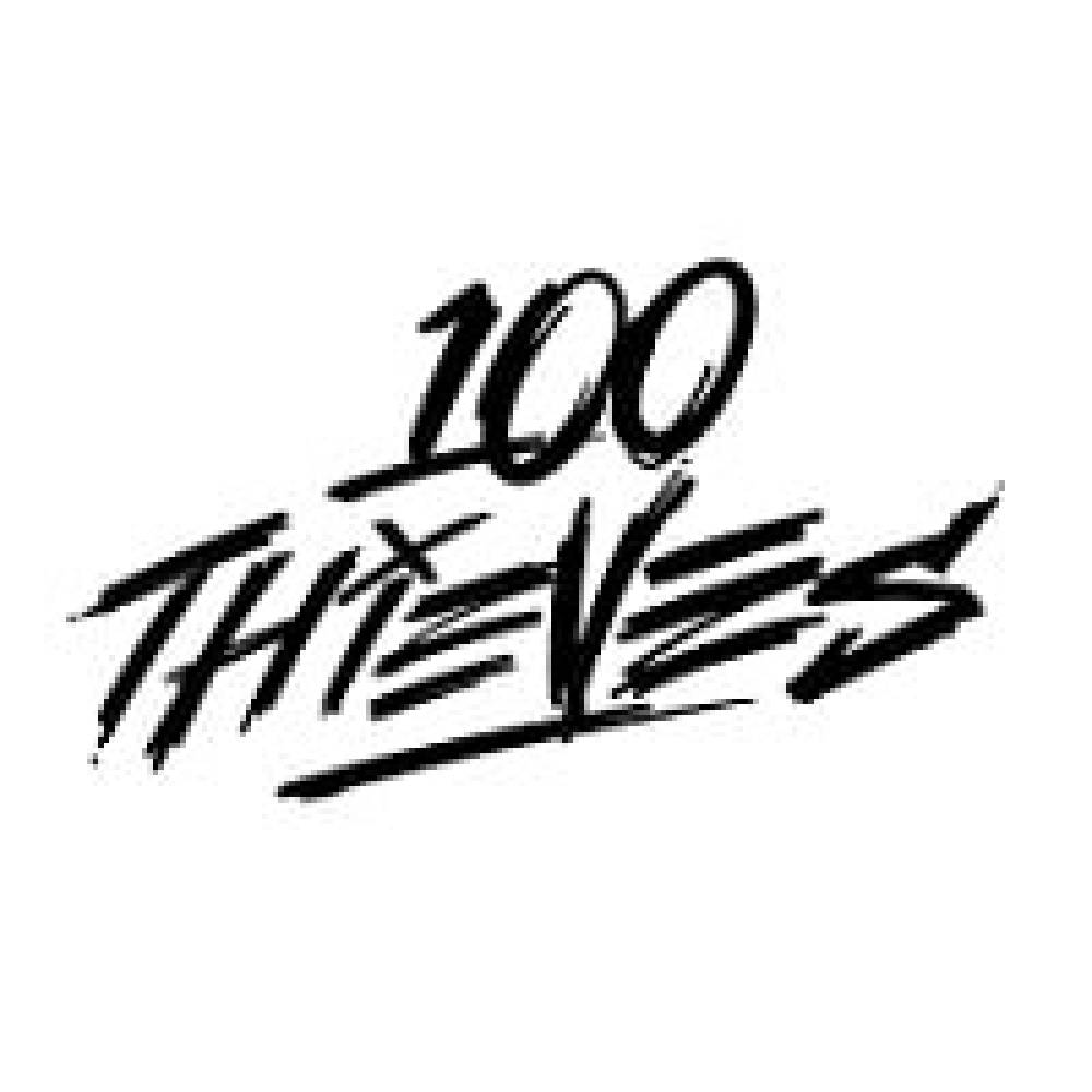 100-thieves-coupon-codes