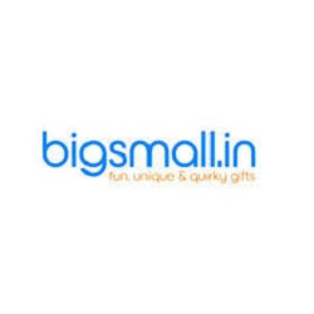 bigsmall-coupon-codes