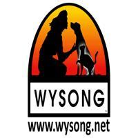 wysong-coupon-codes