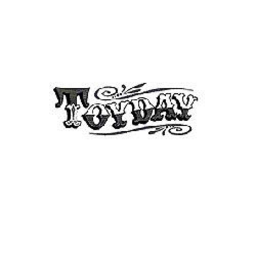 toyday-coupon-codes