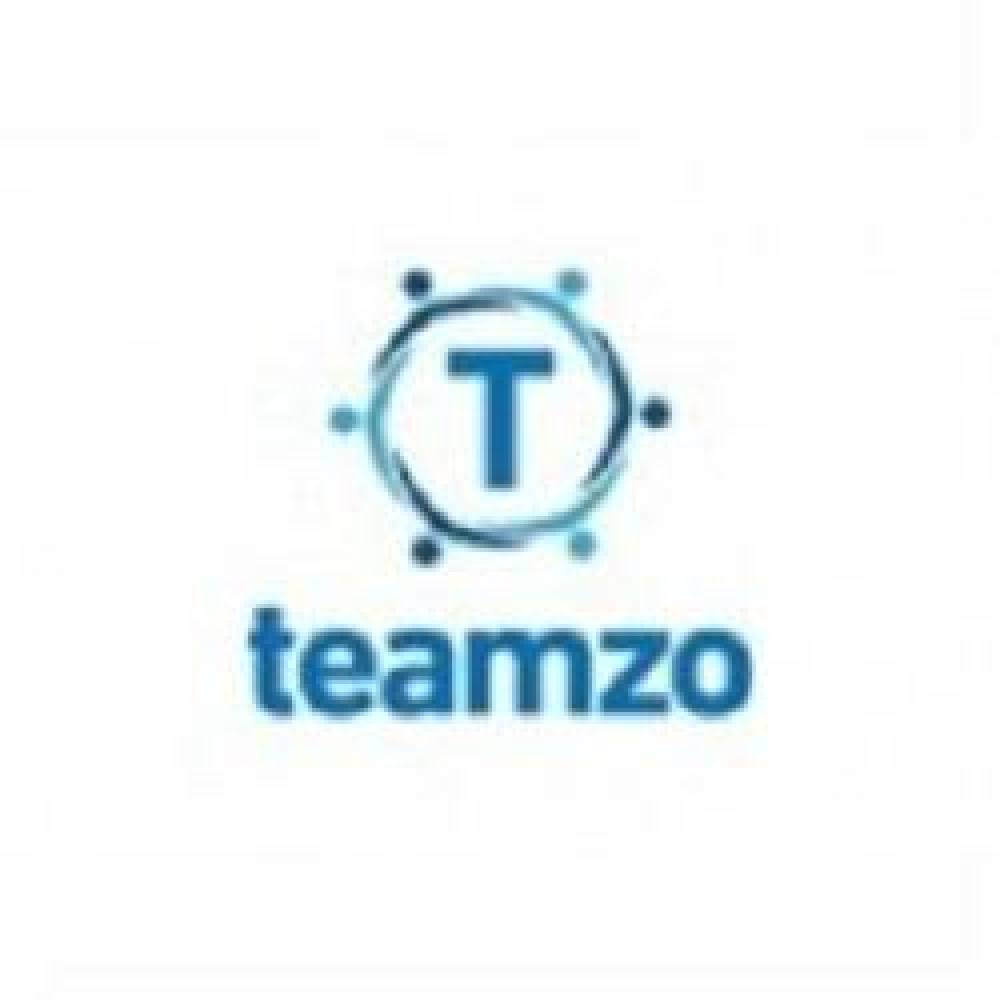 teamzo-coupon-codes