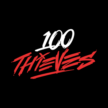 100-thieves-coupon-codes