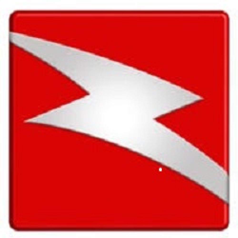 zapals-coupon-codes