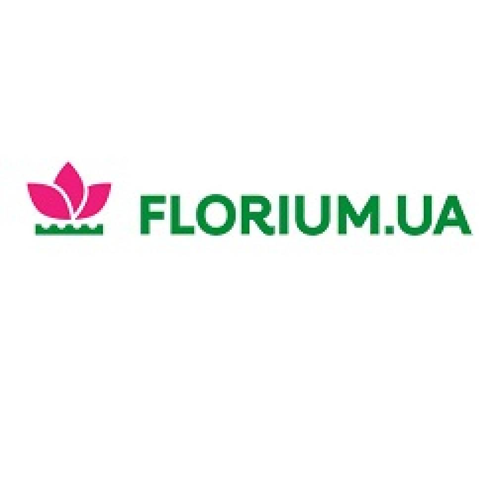 флоріум-coupon-codes