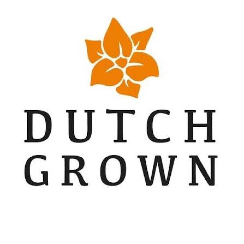 Dutch-Grown-coupon-codes