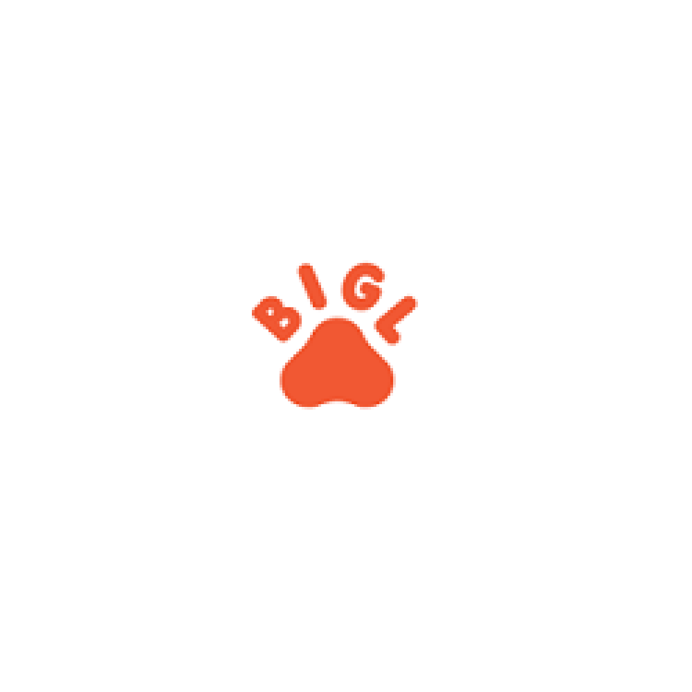 bigl--coupon-codes