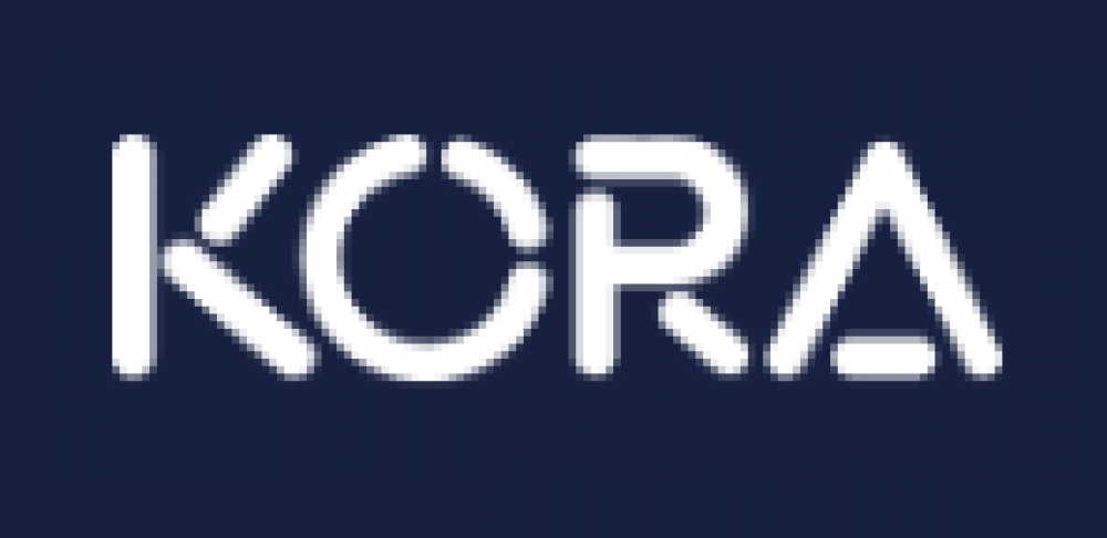 boro-coupon-codes