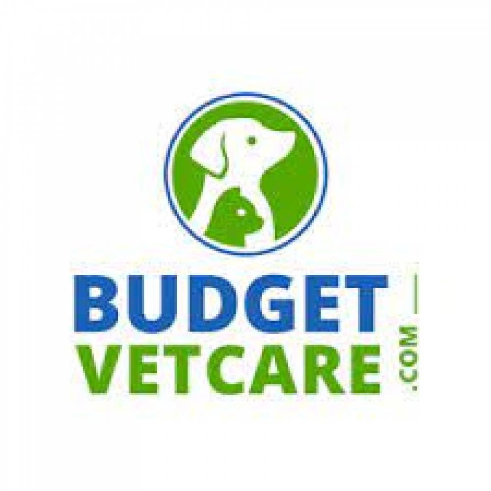 budgetvetcare-coupon-codes