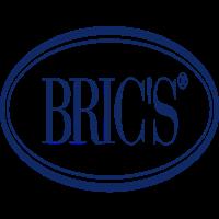 bric-s-coupon-codes